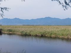 -野鸭湖国家湿地公园