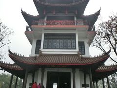 android_upload_pic-天目湖山水园