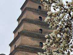 -大慈恩寺(大雁塔)