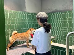 -爪吧宠物乐园 (温榆河示范区店)