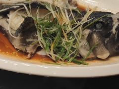 -喜粤广东菜(汉屯路店)