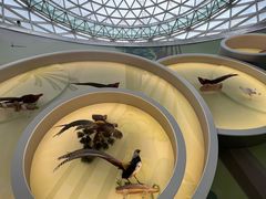 -陕西自然博物馆