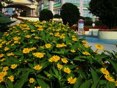 -广州花之恋城堡酒店
