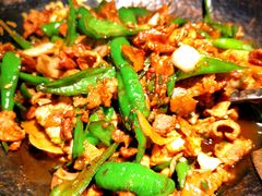 -费大厨辣椒炒肉(万家丽一店)