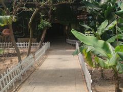 -呀路古热带植物园