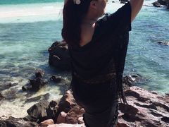 -珊瑚岛