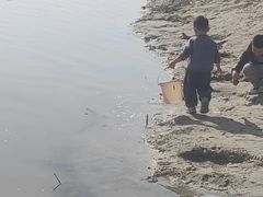 -洨河生态公园