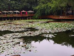 -巴山一绝烤全羊(三圣乡刘家花园店)