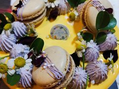 -小苍兰风铃草蛋糕甜品(沈阳店)