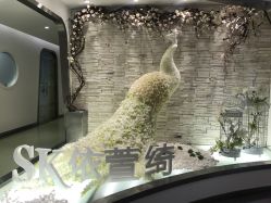 -依萱绮医疗美容