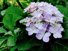 -人民公园(罗湖区)