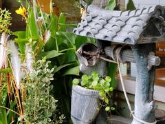 -鲁山人日本料理·放题·套餐(松卫北路店)