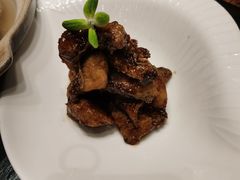 -丁老爷子苏香圆