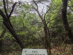 -大青沟风景区