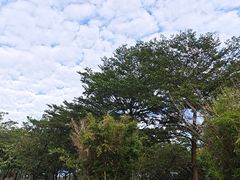 -飞来湖湿地公园
