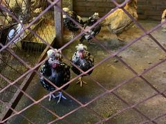 -鱼窝棚柴火铁锅炖(富山屯店)