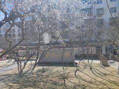-桃花堤公园
