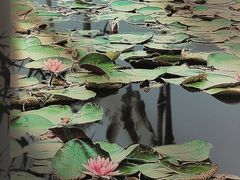 -白鹭洲公园