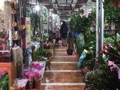 -朝来春花卉市场