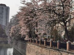 -成都市活水公园