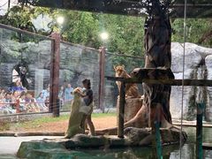 -清迈夜间动物园