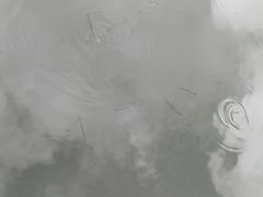 -洛龙公园