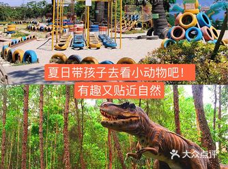 夏日遛娃！就来成都松鼠部落森林假日乐园！