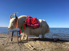 -青海湖国家重点风景名胜区