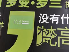 -武汉光谷K11