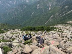 -朱雀国家森林公园