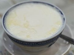 冷的原味双皮奶-民信老铺(华盖路店)