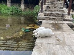 -北京水岸山吧度假村(雁栖镇店)