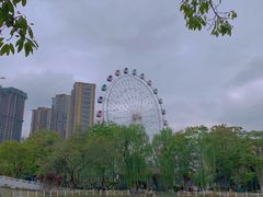 -塔子山公园