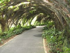 -广西壮族自治区药用植物园