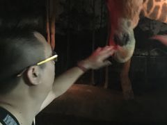 -清迈夜间动物园