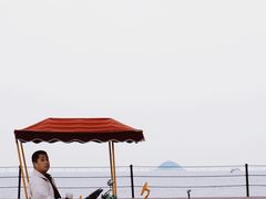 -野狸岛