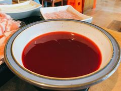 -杨家火锅(国美店)