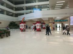 -中国人民解放军总医院(301医院)