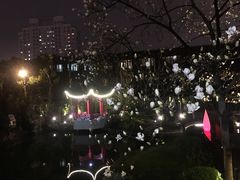 -上海虹桥宾馆味翠餐厅