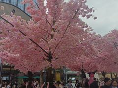 -东莞松山湖万象汇