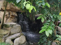 -南山植物园