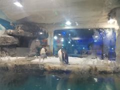 -台州海洋世界