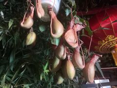 -顺承小院儿