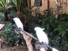 -南宫五洲植物乐园