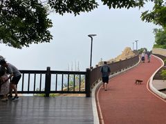 -星海湾跨海大桥