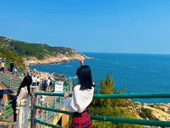 -广东惠东海龟国家级自然保护区