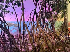 -中国湿地博物馆