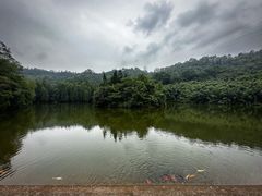 -滴水岩森林公园