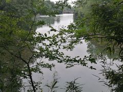 -白马涧龙池景区