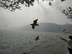 -滇池海埂公园
